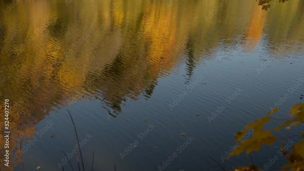 View of the lake in autumn, beautiful trees with yellow foliage. View of the lake in autumn, beautiful trees with yellow foliage.