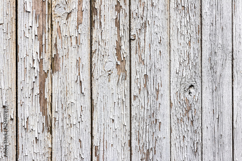 background. old wooden fence with peeling white paint.