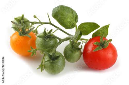 Tableau sur toile Red and yellow cherry tomatoes
