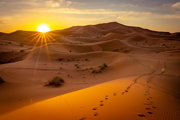 Fototapete Orange Sonnenaufgang über Sahara in Marokko  © Alexander