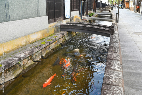 Carp canal, Hida Furukawa, Japan photo