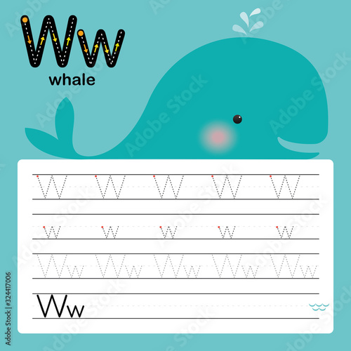 Alphabet tracing worksheet for preschool and kindergarten to improve basic writing skills, letter W, whale, vector, illustration 
