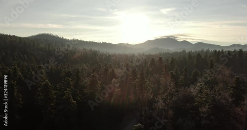 A video of a sunrise in the middle of a forest.  Mountains in the distance. Cloudy skies and fog. Sun shinning through tree tops. Sun rays reflection of the glas. photo