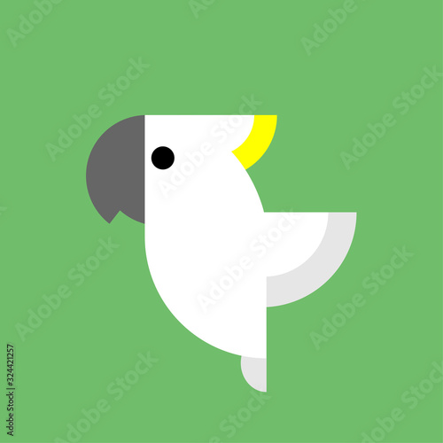 cockatoo bird Flat Design Vector Illustration. Vector illustration can be used for web and mobile graphic design, logo, eps10.  Flat vector design for pet store, business poster