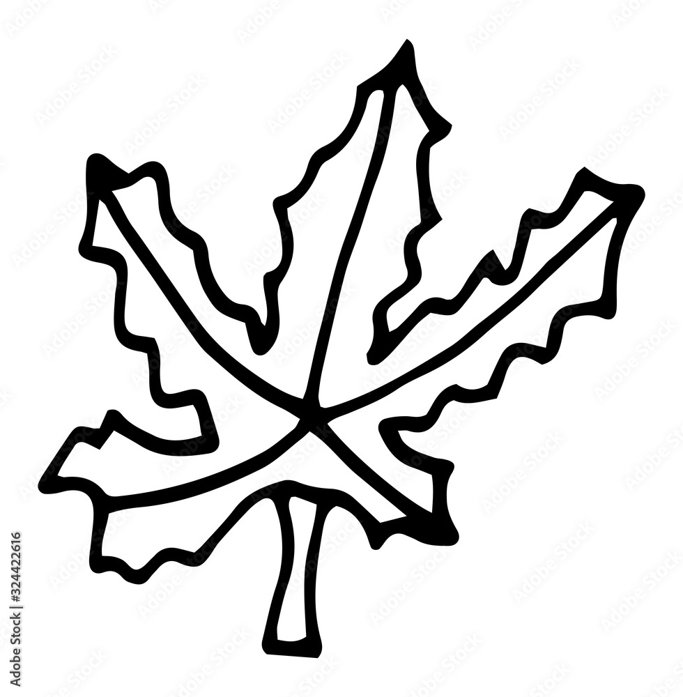 Hand drawn maple leaf outline. Maple leaf in line art style isolated on white background.