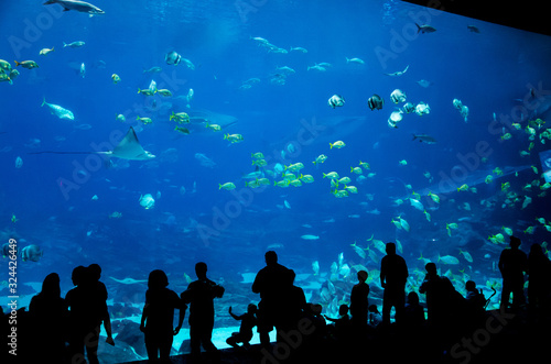 silhouette people in great aquarium