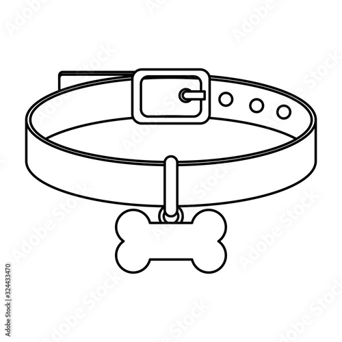 collar for dog with bone isolated icon vector illustration design