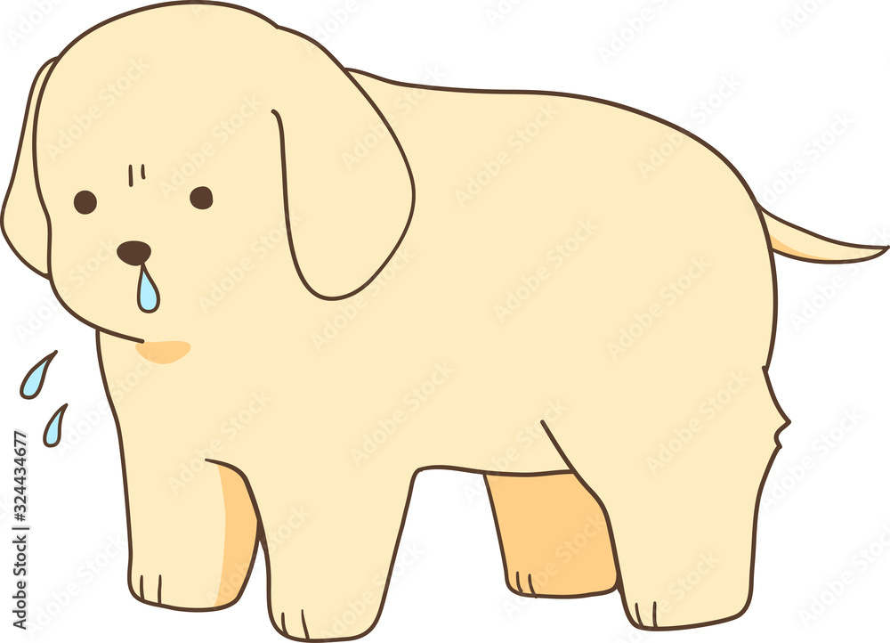 Obraz premium ゴールデンレトリバーの子犬(鼻水・風邪)