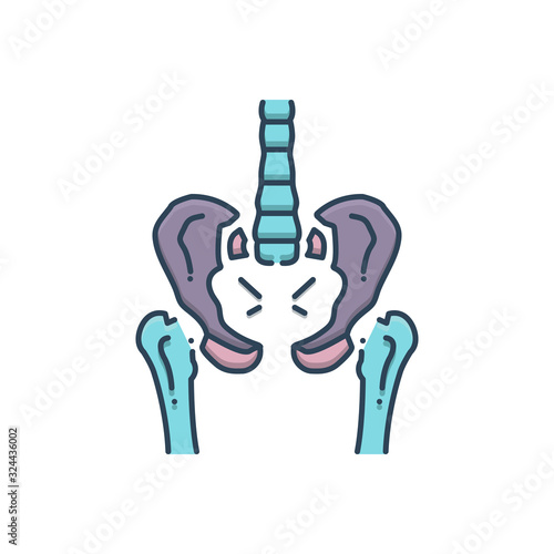 Color illustration icon for pelvic 