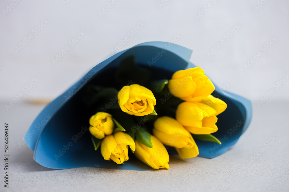 Obraz premium Yellow tulips in blue paper on a white and gray background