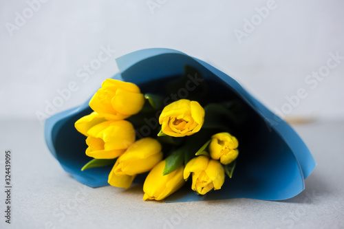 Yellow tulips in blue paper on a white and gray background