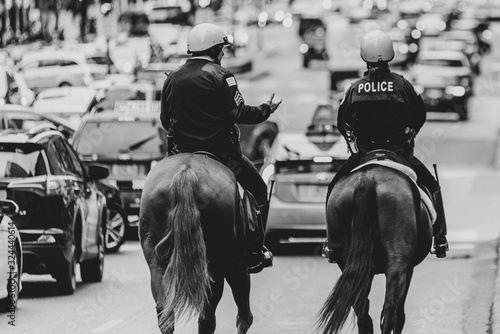 horse and rider