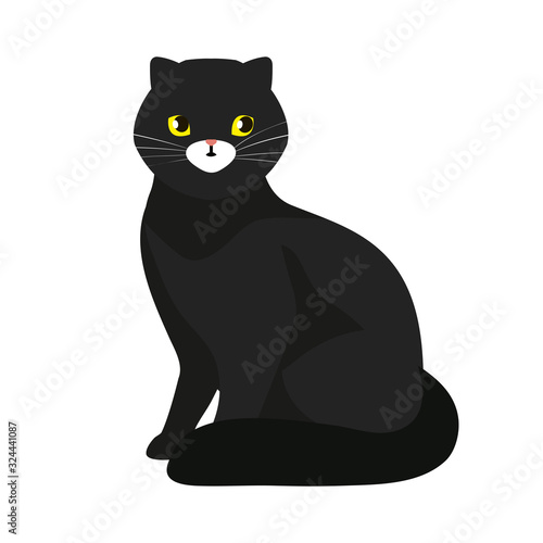 cute cat black isolated icon vector illustration design