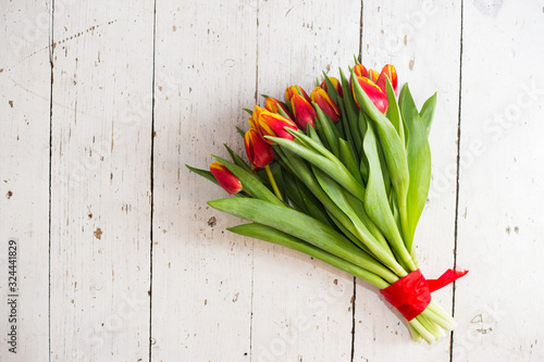 Beautiful tseti tulips on a light background