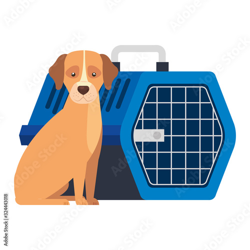 cute dog animal with pet carry box vector illustration design