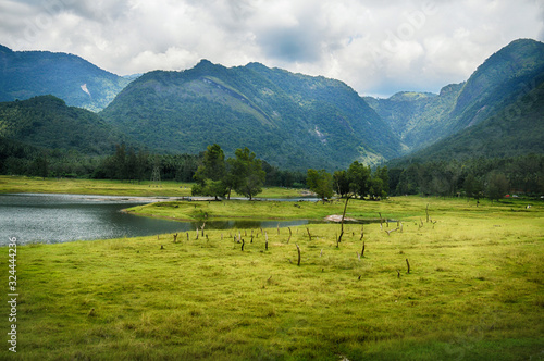Nature Grass Field and Mountain