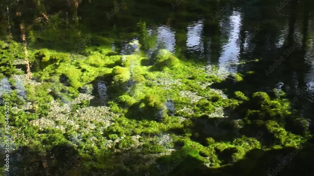 白川水源 白川水源