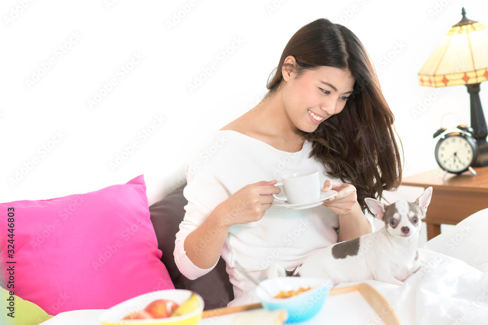 young woman in bed room having breakfast and play with chihuahua dog. young woman in bed room having breakfast and play with chihuahua dog.