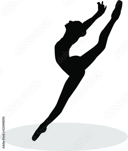 Ballarina Illustration