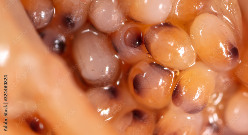 Red caviar in a shrimp as a background Red caviar in a shrimp as a background