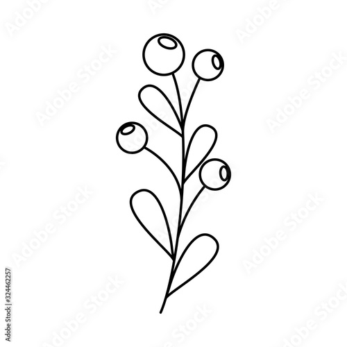branch with seeds isolated icon vector illustration design