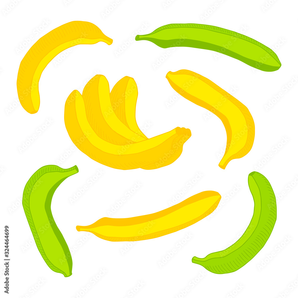 Bananas set of elements. Hand drawn colorful poster. Stock vector illustration.