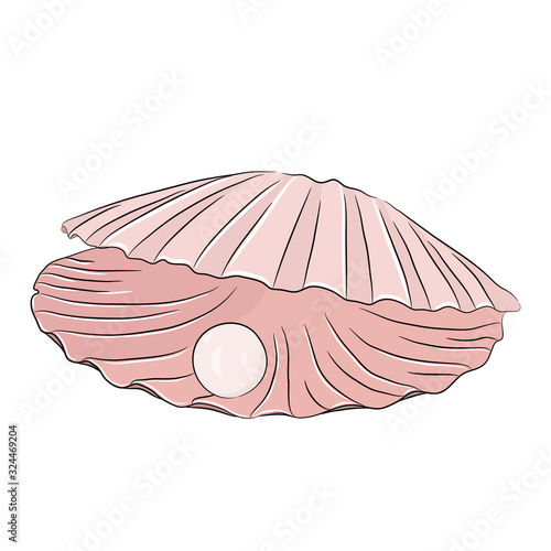 Shell with pearl
