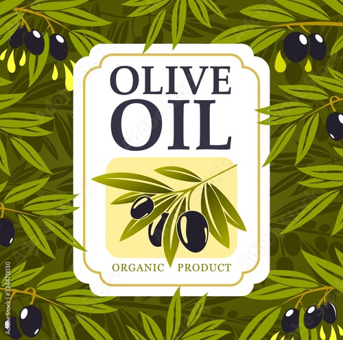 Olive oil organic farm food vector design with olive tree green branches, black fruits and drops of extra virgin oil. Bottle label of vegetarian cooking ingredient of Greek and Italian cuisine