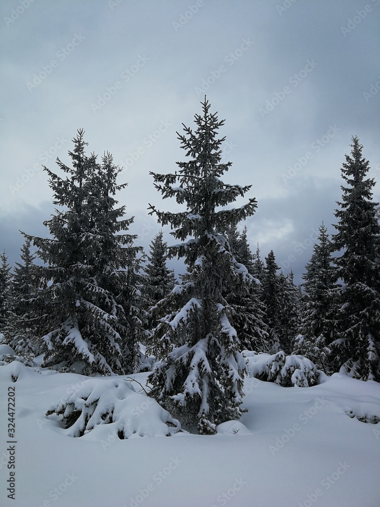 Zimowa sceneria Niżne Tatry na Słowacji okolice Pohorela