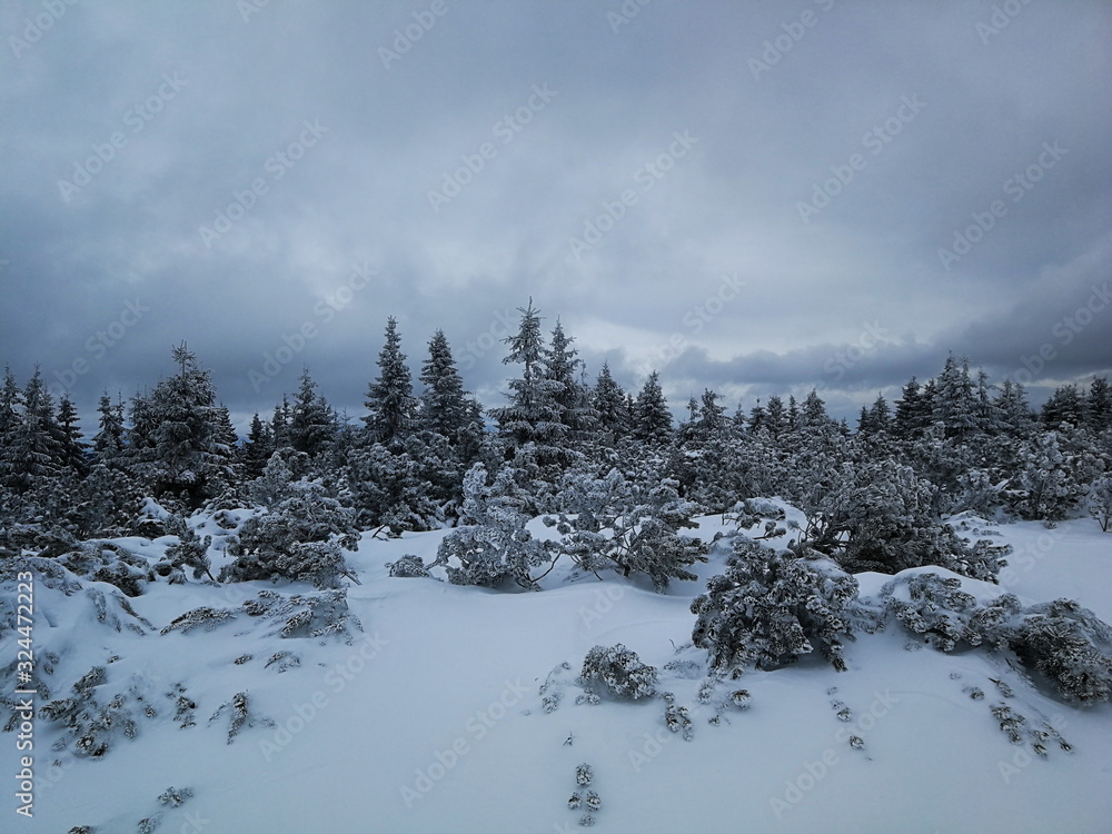 Zimowa sceneria Niżne Tatry na Słowacji okolice Pohorela