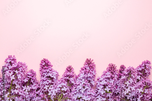 Brunches of beautiful purple lilacs on pink background. Top view. Copy space for your text. Mockup