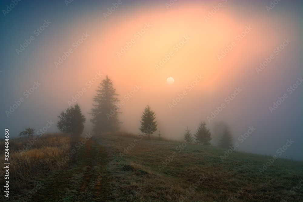 Obraz premium Spring foggy image