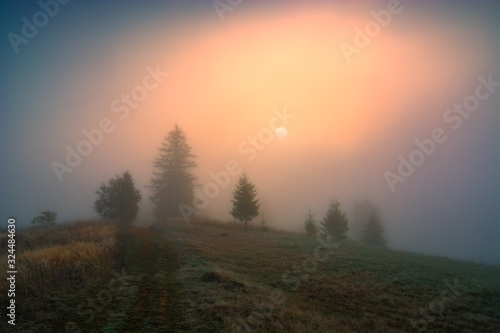 Spring foggy image