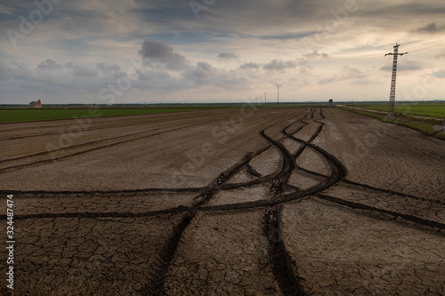 Landscape of a rice field after the rice has benn collected photo