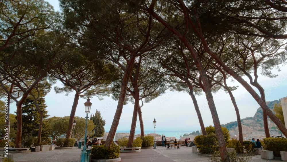 Trees in Monaco France 4k slowmotion Trees in Monaco France 4k slowmotion