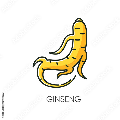 Ginseng RGB color icon. Herbal root. Healing component for scars and acne. Chinese traditional treatment. Organic antioxidant. Medical remedy. Cosmetic ingredient. Isolated vector illustration