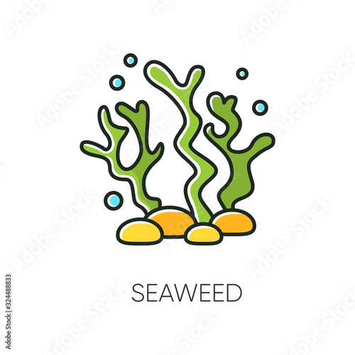 Seaweed RGB color icon. Natural component. Skincare treatment product. Antiaging effect. Ecology and biology. Marine grass extract. Cosmetic ingredient. Isolated vector illustration