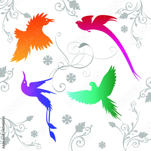 Vector background with different colored birds of paradise and ornament. For design
