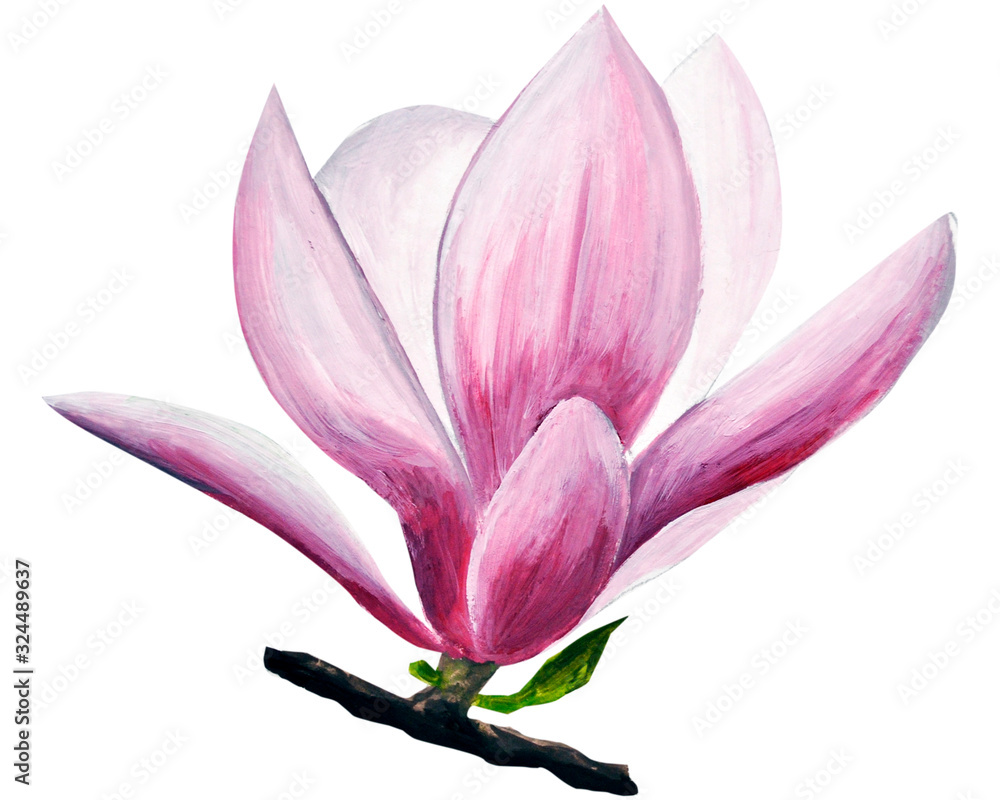 Fototapeta premium pink magnolia drawing. Hand-drawn magnolias in gouache. spring flowers on a branch. spring flowering gardens. design of cards, invitation.