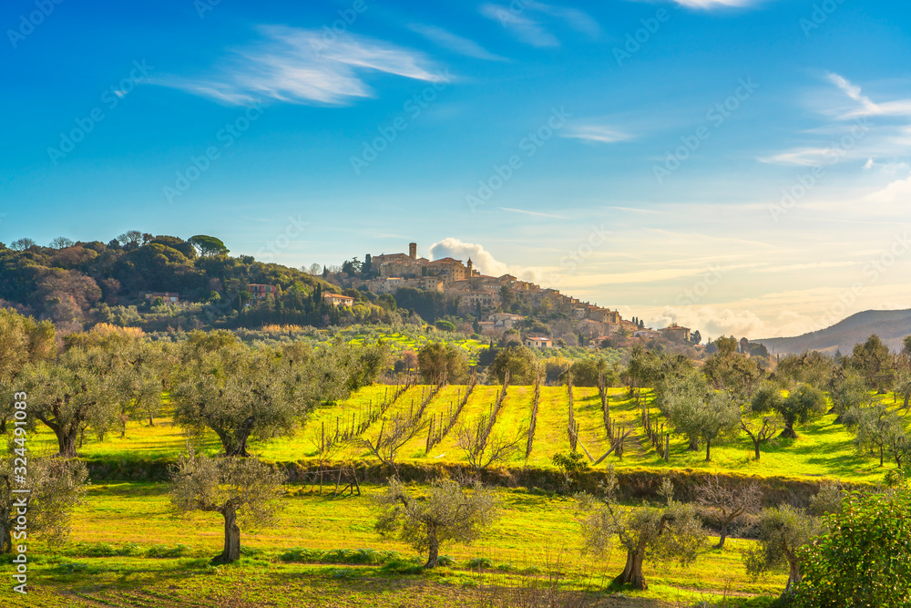 Casale Marittimo village and olive trees in Maremma. Tuscany, Italy.