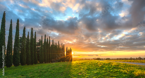Sunset landscape in Maremma. Rural road and cypress trees. Casale Marittimo,Tuscany, Italy
