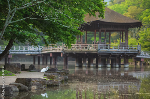 浮見堂と小鷺 © Yusuke Kawakami