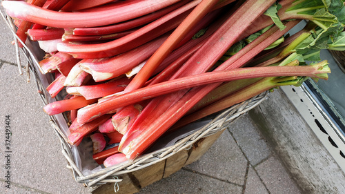 Frischer Rhabarber in Korb auf Markt im April Frühling  photo