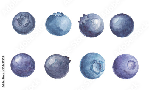 Watercolor set of blueberries isolated on white background.