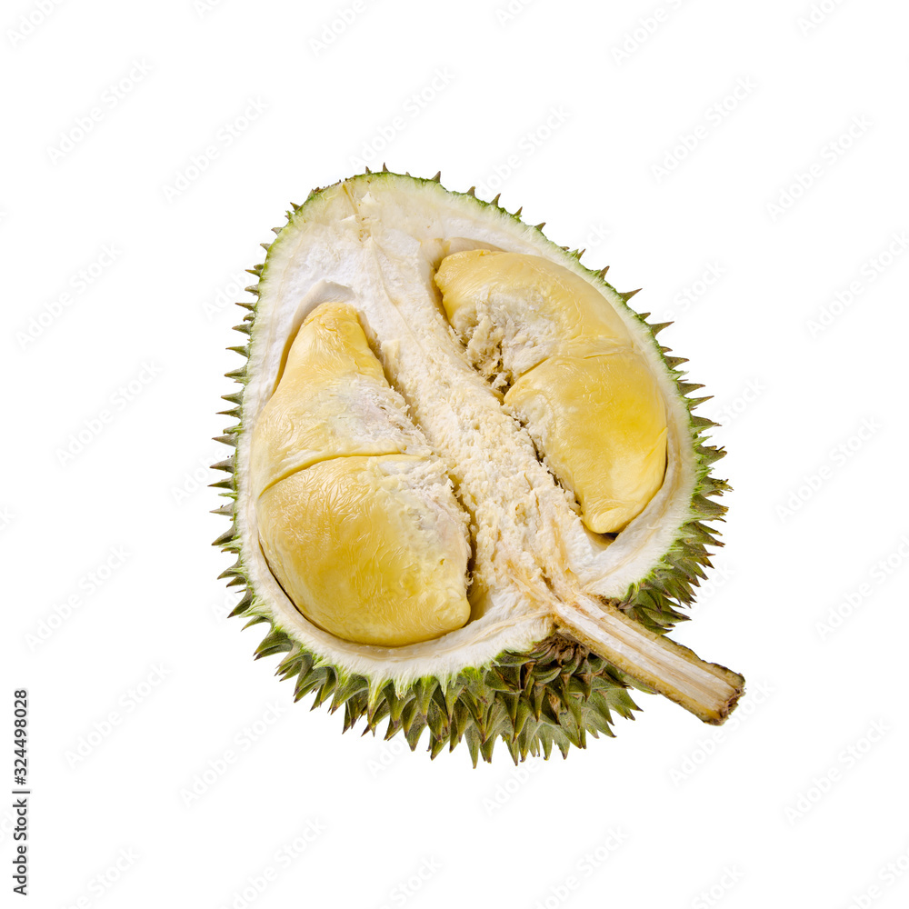 Fototapeta premium durian or durian with concept on background new.