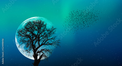Beautiful landscape with lone tree in the background full moon and aurora "Elements of this image furnished by NASA" © muratart