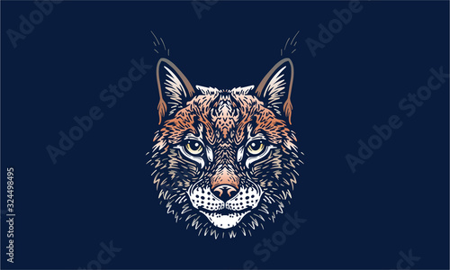 lynx on dark background