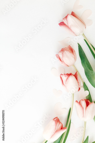 Fototapeta Naklejka Na Ścianę i Meble -  Spring flat lay. Pink tulips border on white background, space for text. Stylish soft spring image. Floral Greeting card mockup. Happy women's day. Happy Mothers day. Creative vertical photo