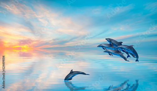 Group of dolphins jumping on the water - Beautiful seascape and sunset sky - on the background Solar eclipse