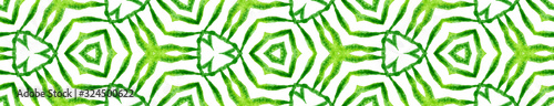 Green geometric foliage Seamless Border Scroll. Ge